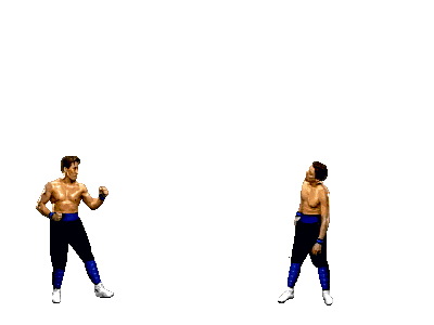 Johnny Cage's Shadow Punch Fatality